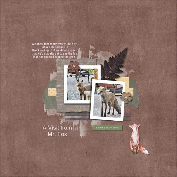 A Visit From Mr. Fox.jpg