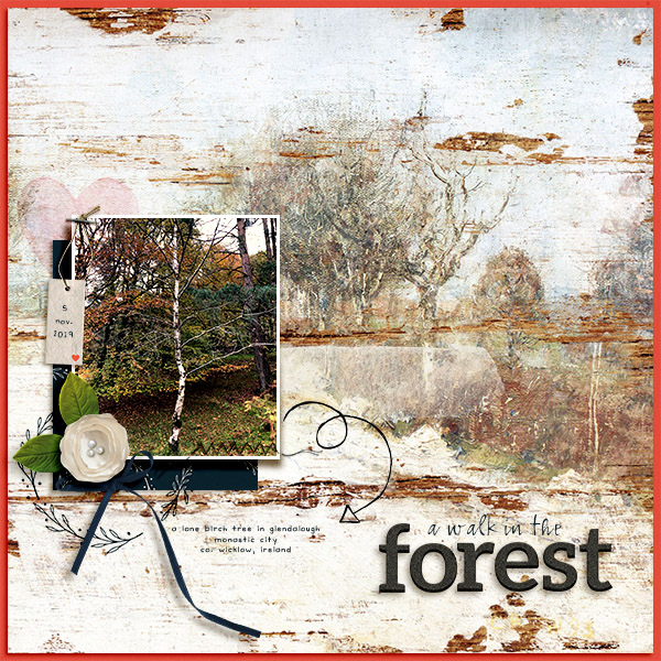 A Walk in the Forest
