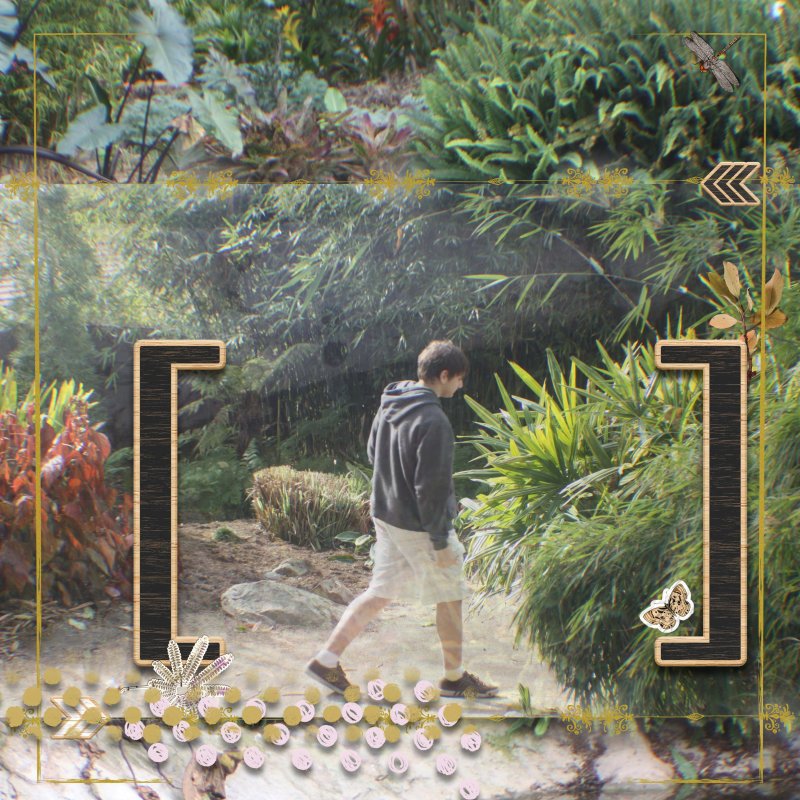 A Walk In The Garden