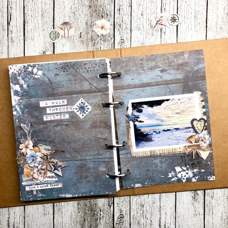 A walk through winter - hybrid
