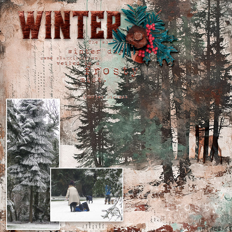 A Winter's day