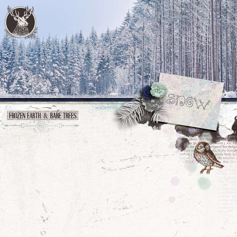 A Winters Tale