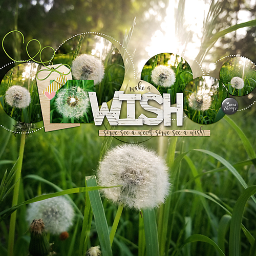 A Wish or A Weed