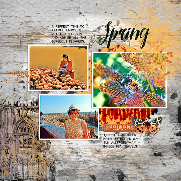 AAM_Spring