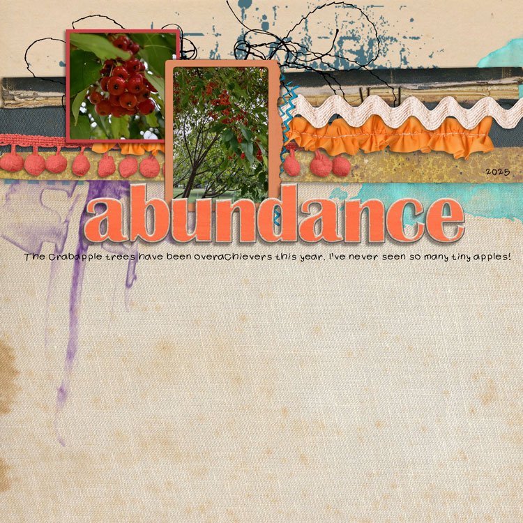 abundance.jpg