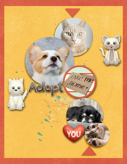 Adopt