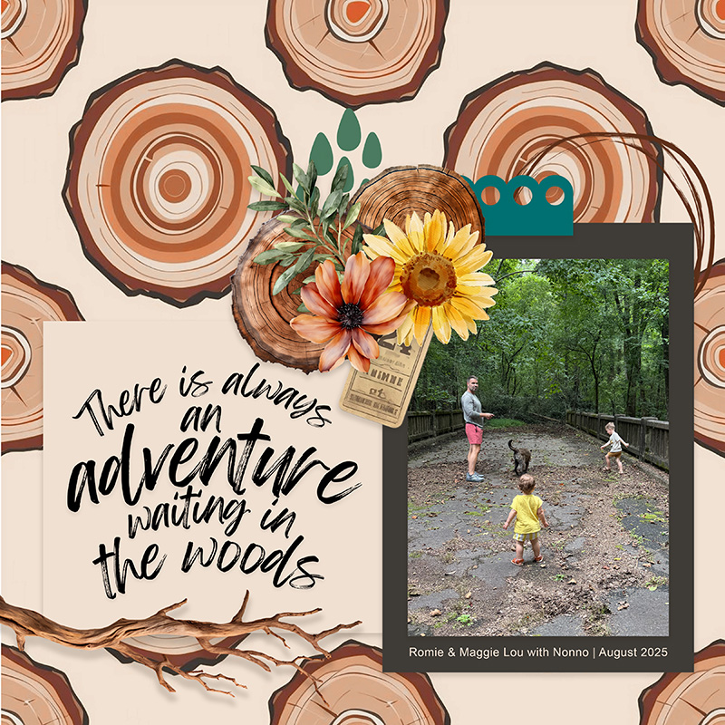 Adventure in the Woods