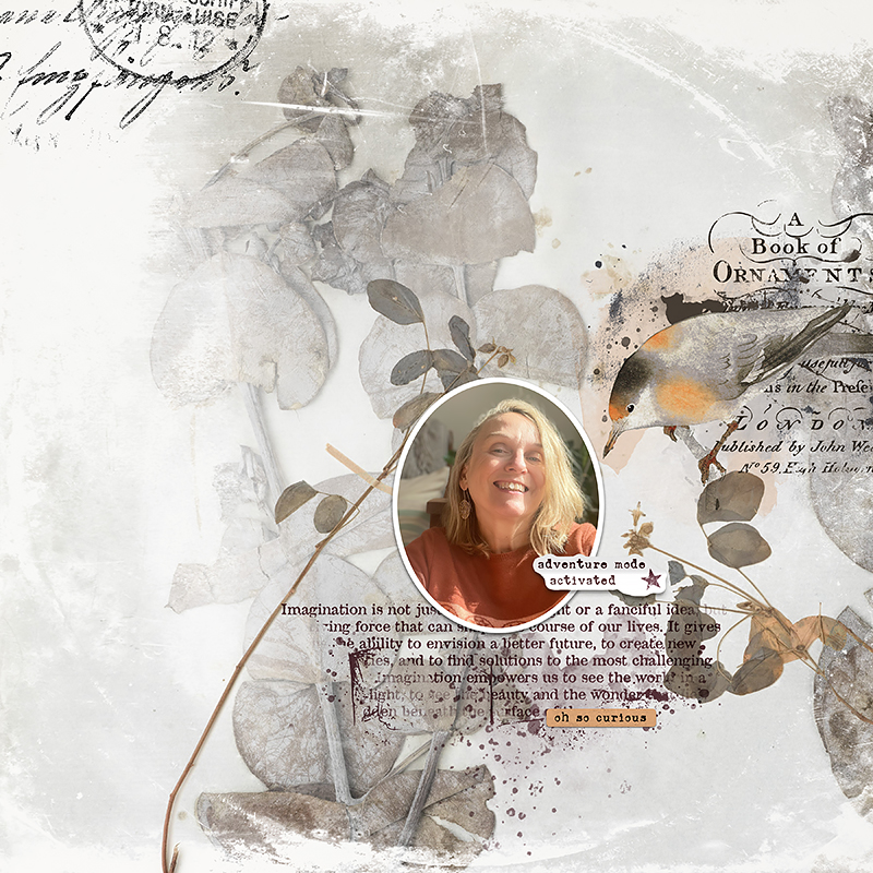 Adventure Mode