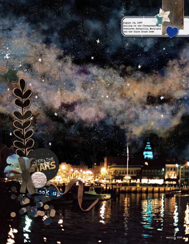 Adventure-Under-the-Stars