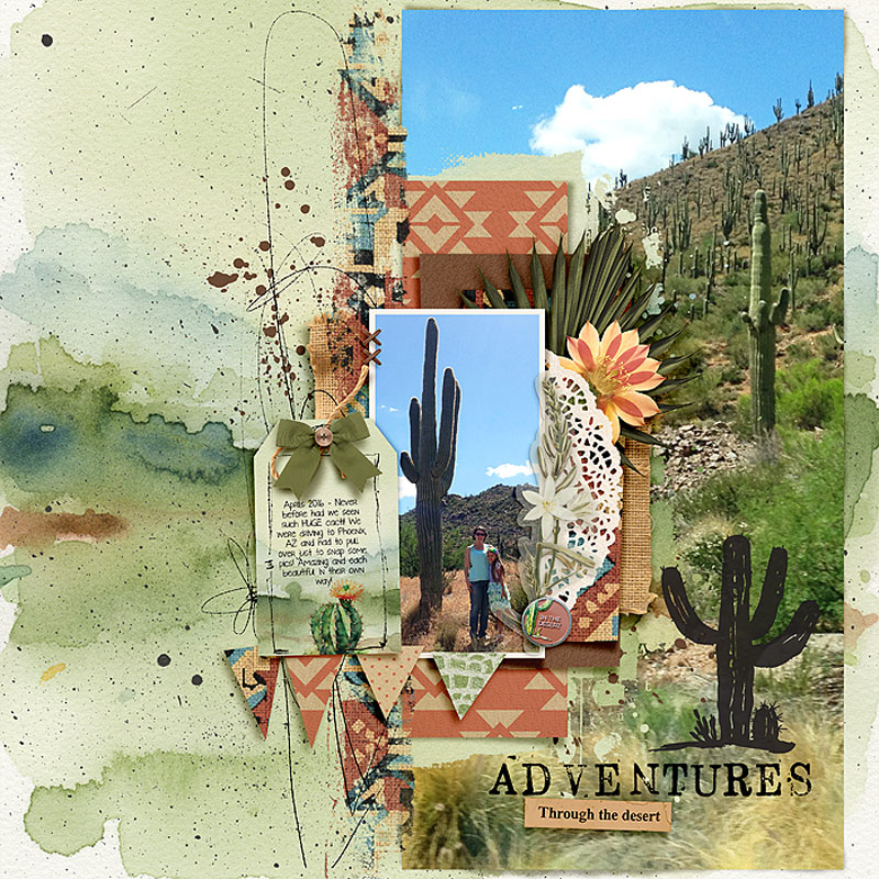 Adventures in the desert