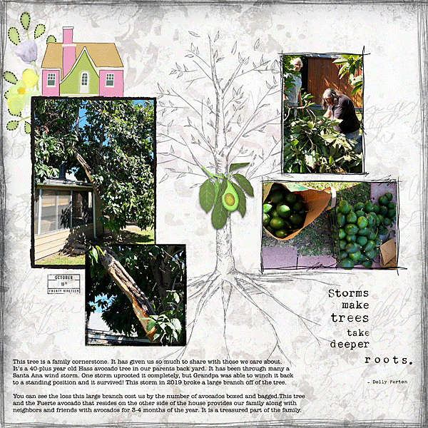 AJ July Wk-4 Tree Life Lessons