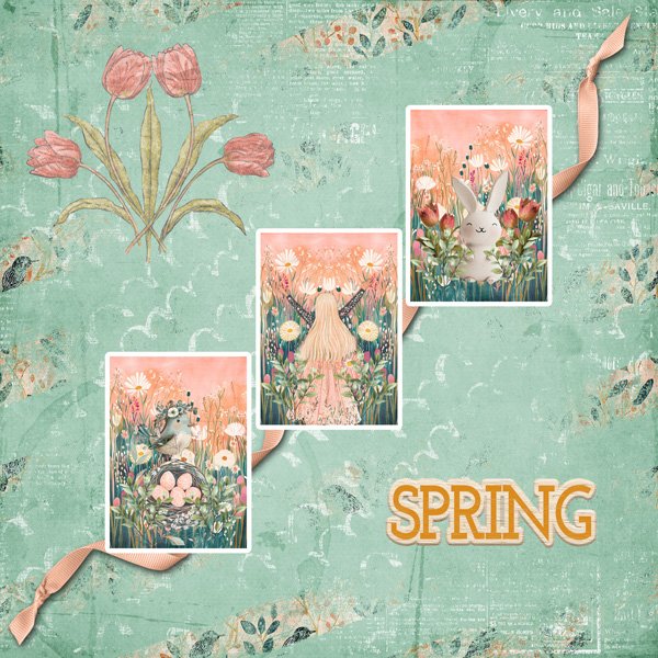AJWk2_Spring_janisn.jpg