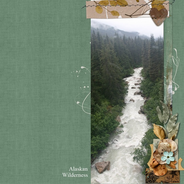 Alaskan Wilderness