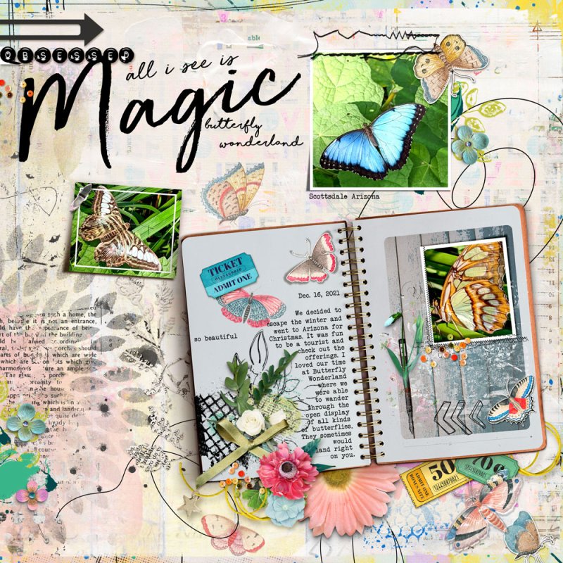 All-i-see-is-magic