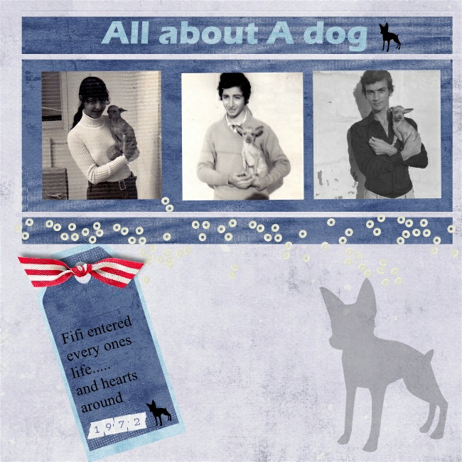 all_about_a_dog
