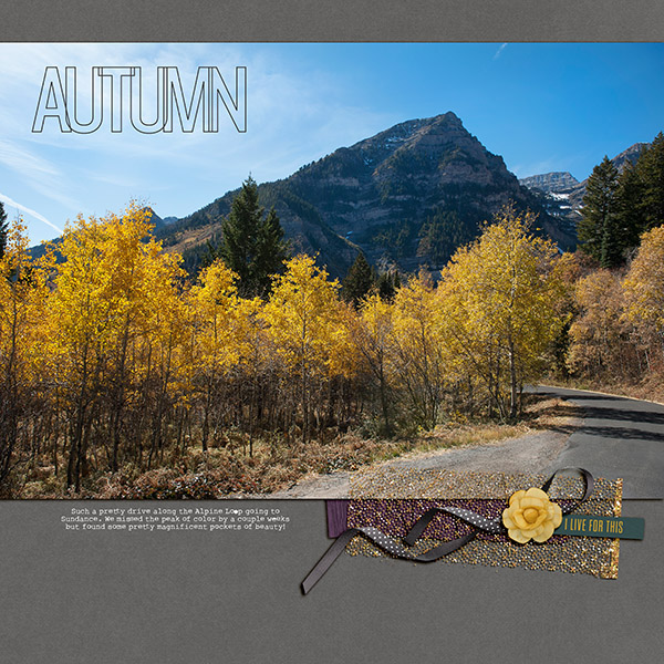 Alpine Loop