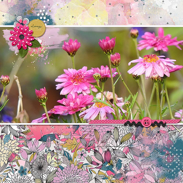 ALWAYS BLOOMING