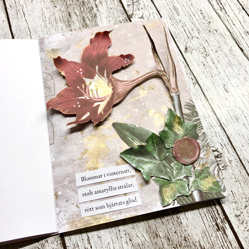 Amaryllis - hybrid