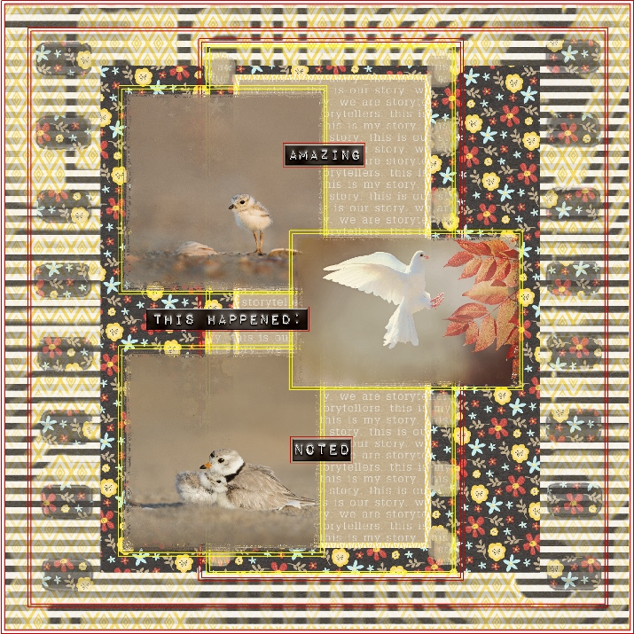 Amber LaBau-September Template Challenge-Bird Beauties
