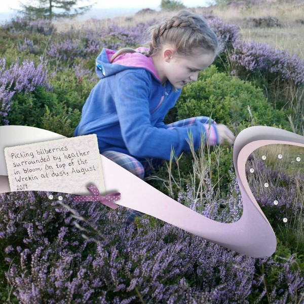 Amongst the Heather