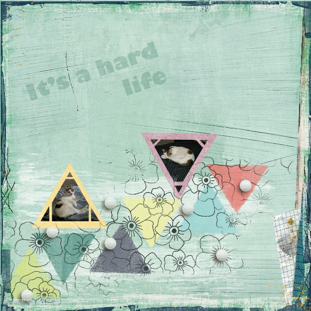 Amy W ,challenge March