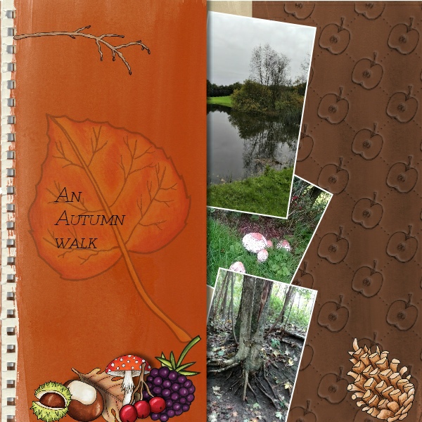 An Autumn Walk