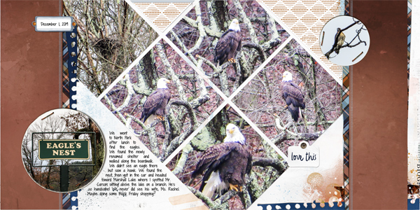 An Eagle and a Hawk