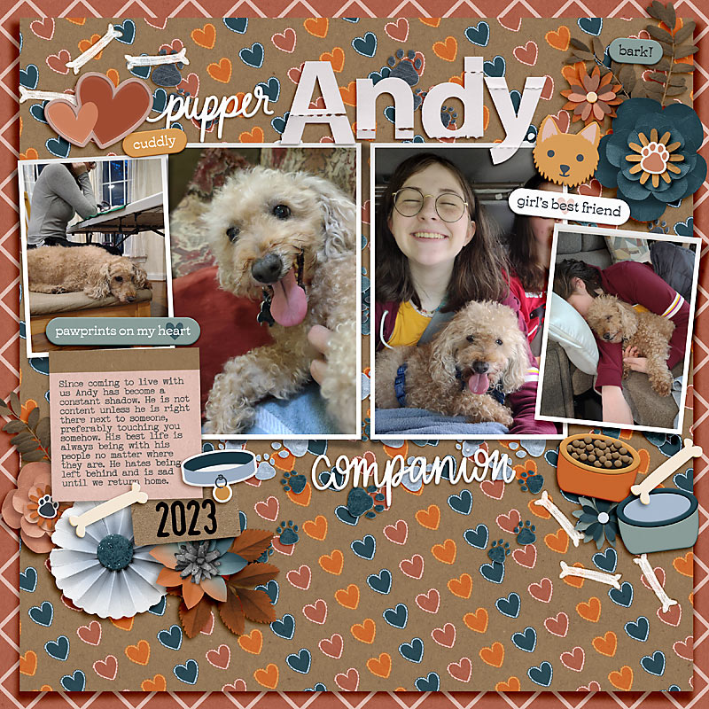 Andy
