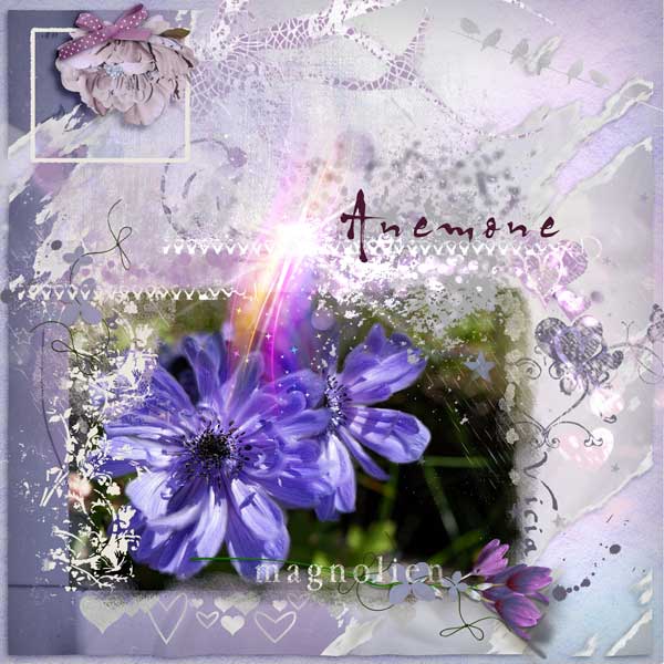 Anemone