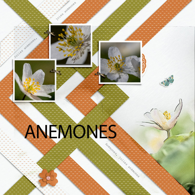 Anémones