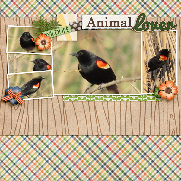 Animal Lover - June Template Challenge