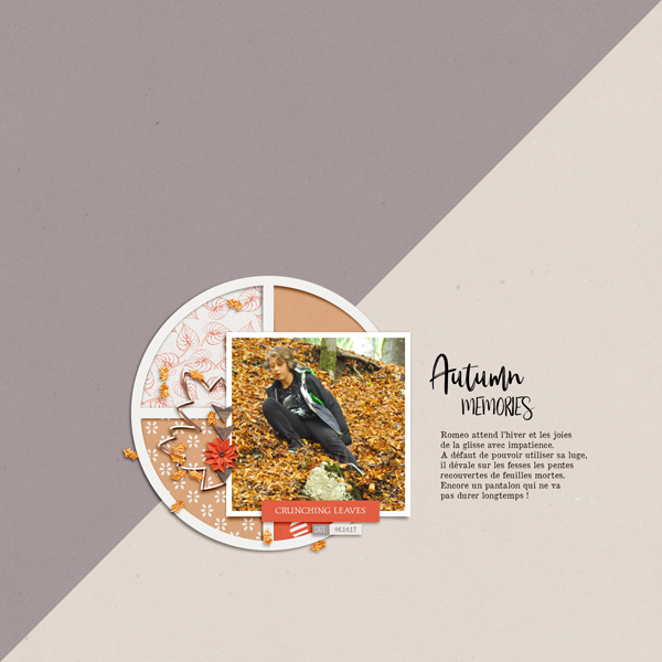 AnnePC_Soco_Autumntreasures_01_600