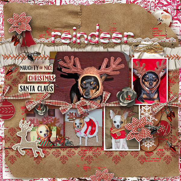 Antler-gallery