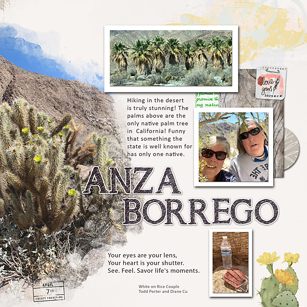 Anza Borrego Hike