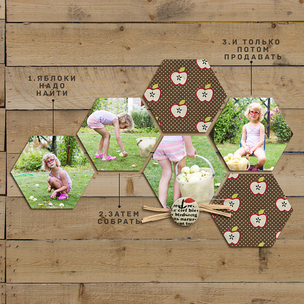 Apple Orchard