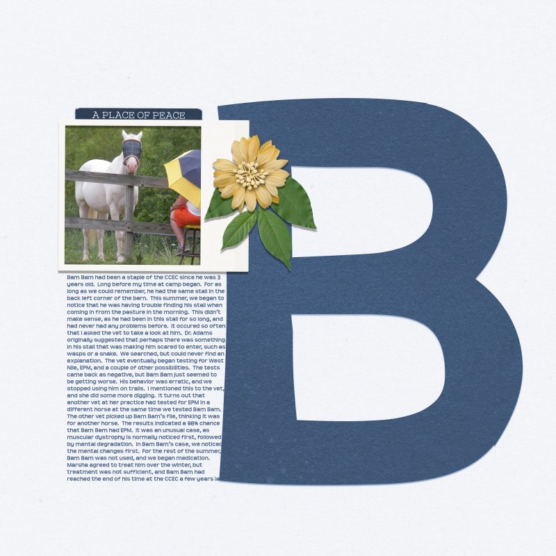 Apr 20 Scraplift Challenge