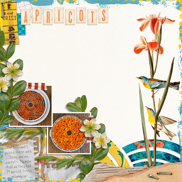 Apricots
