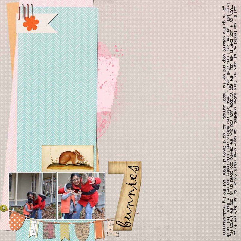 April 2017 Slow Scrap Tech Insp April 27