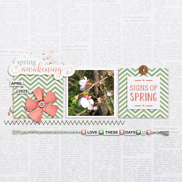 April 2025 Inspiration Challenge