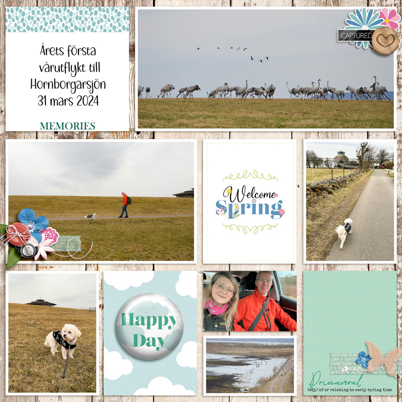 April-24 Scraplift