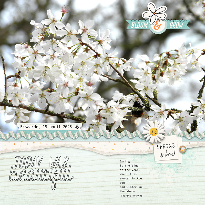 April-Scraplift-Challenge