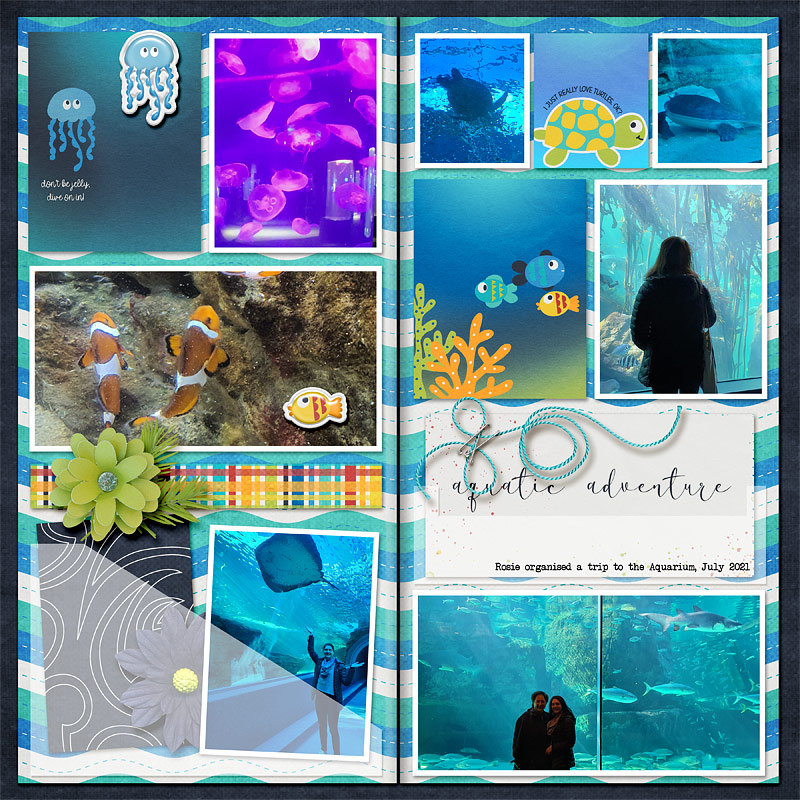 Aquatic-Adventure