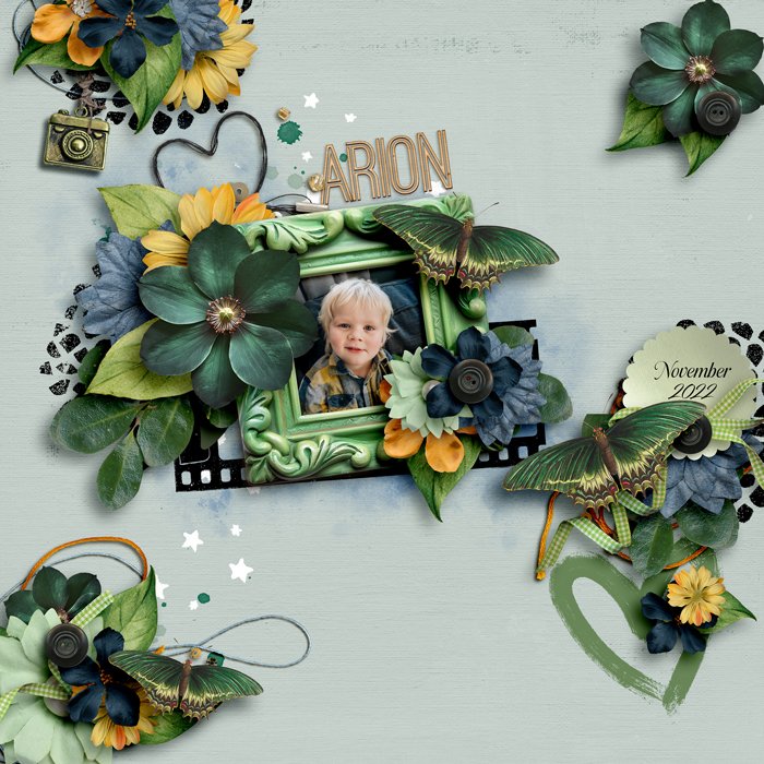 Arion
