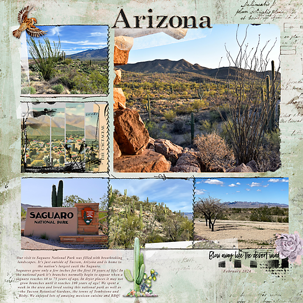 Arizona - Random Challenge