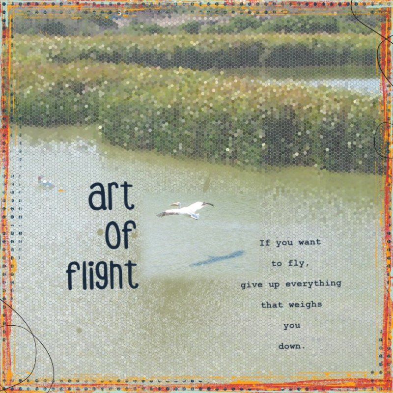Art Of Flight MOC5 Day6
