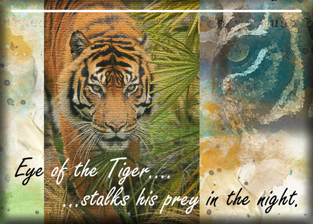 ATC-2017-53-Eye-of-the-Tiger