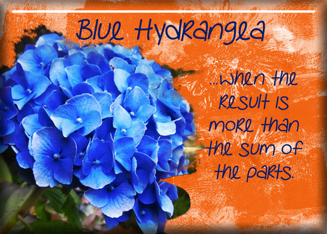 ATC-2017-84-Blue-Hydrangea (May Monthly Muse Wk 4)