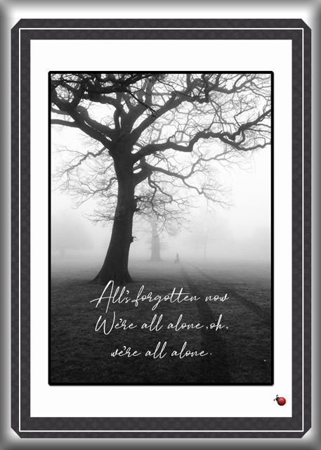 ATC-2019-092-All-Alone