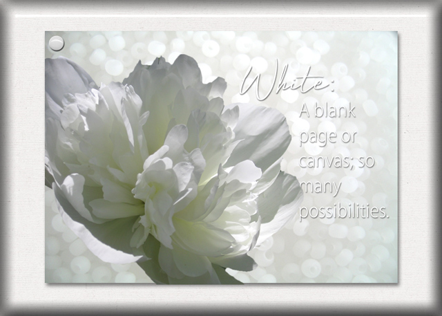 ATC-2019-107-White