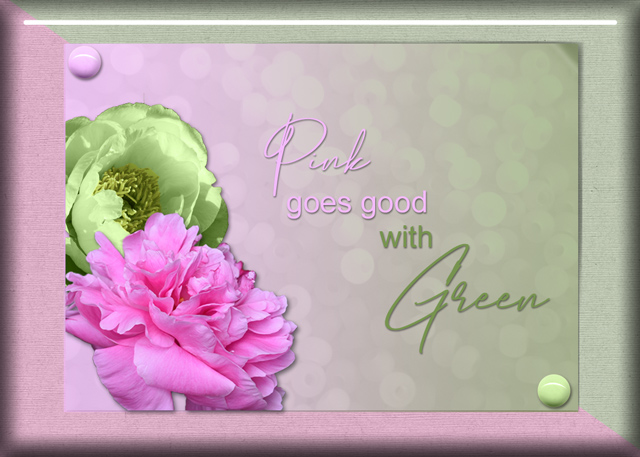ATC-2019-113-Pink-&-Green